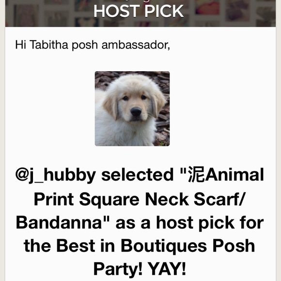 🎉HP🎉Animal Print Square Neck Scarf/ Bandanna - Picture 3 of 3